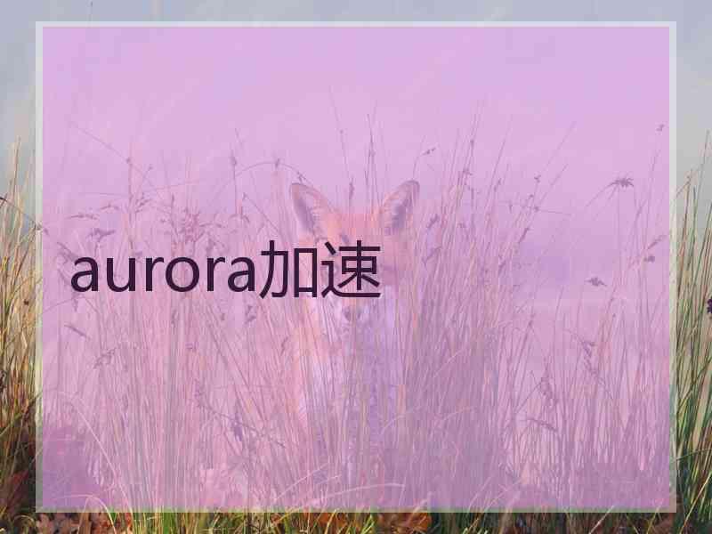 aurora加速
