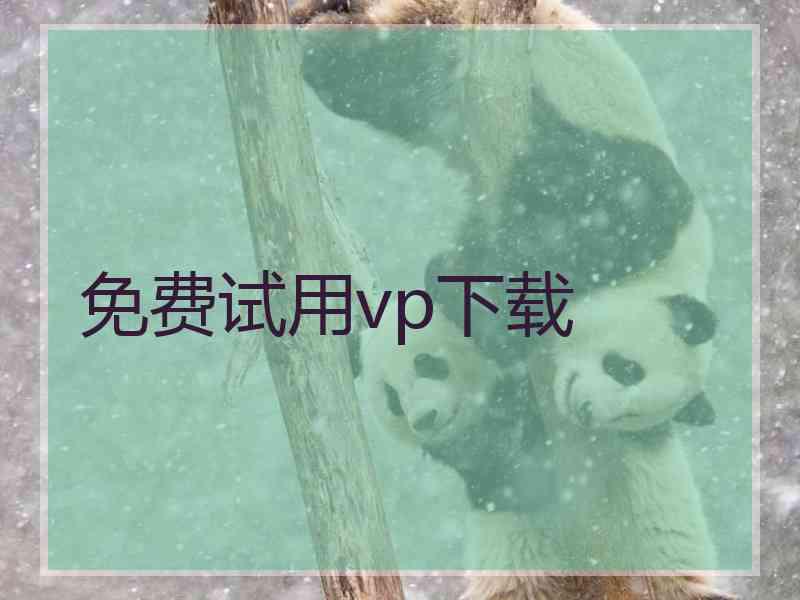 免费试用vp下载