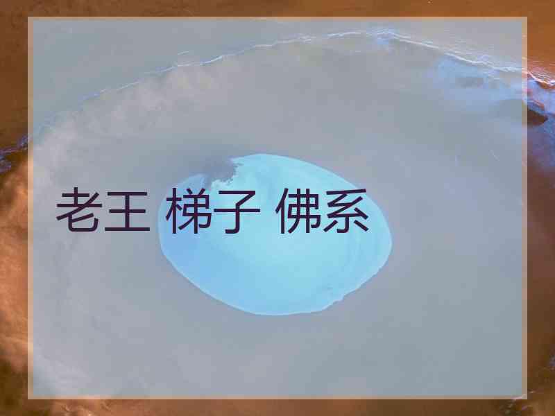 老王 梯子 佛系