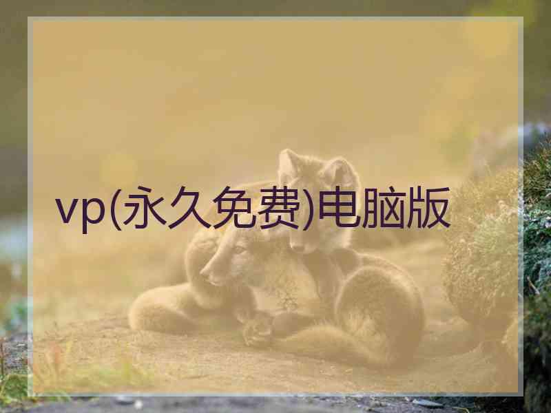 vp(永久免费)电脑版