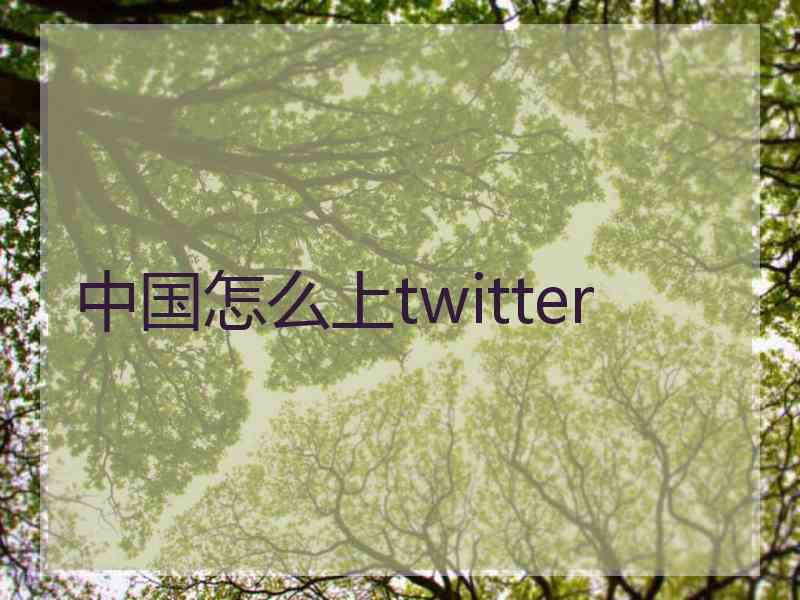 中国怎么上twitter