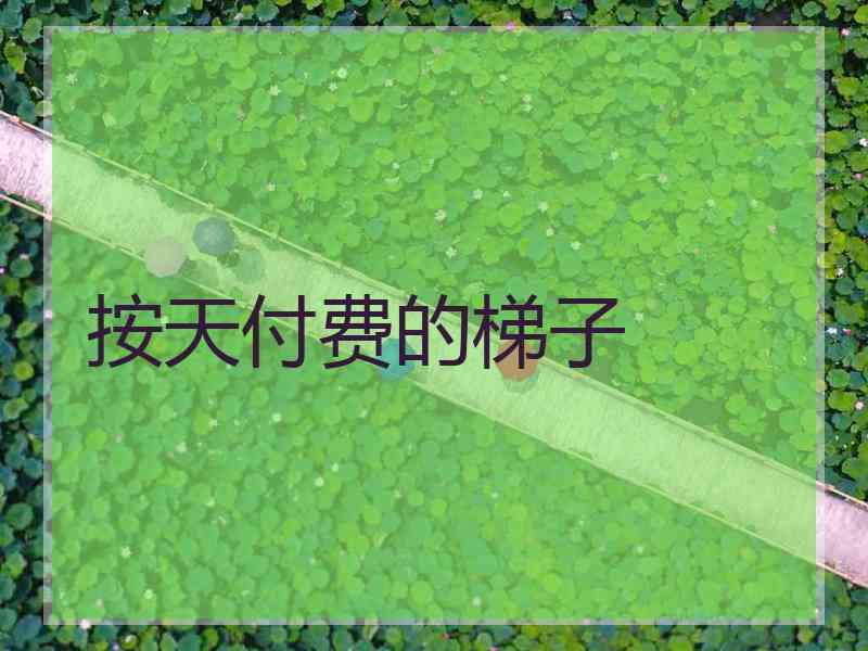 按天付费的梯子