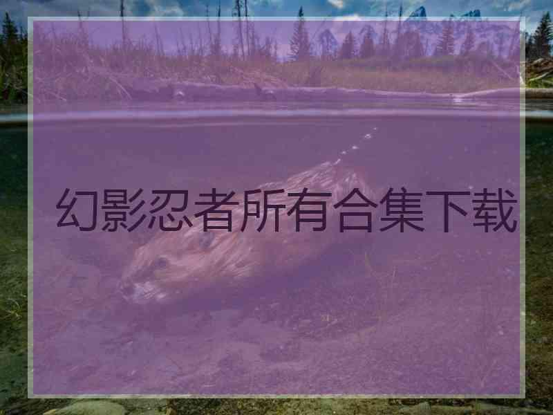 幻影忍者所有合集下载
