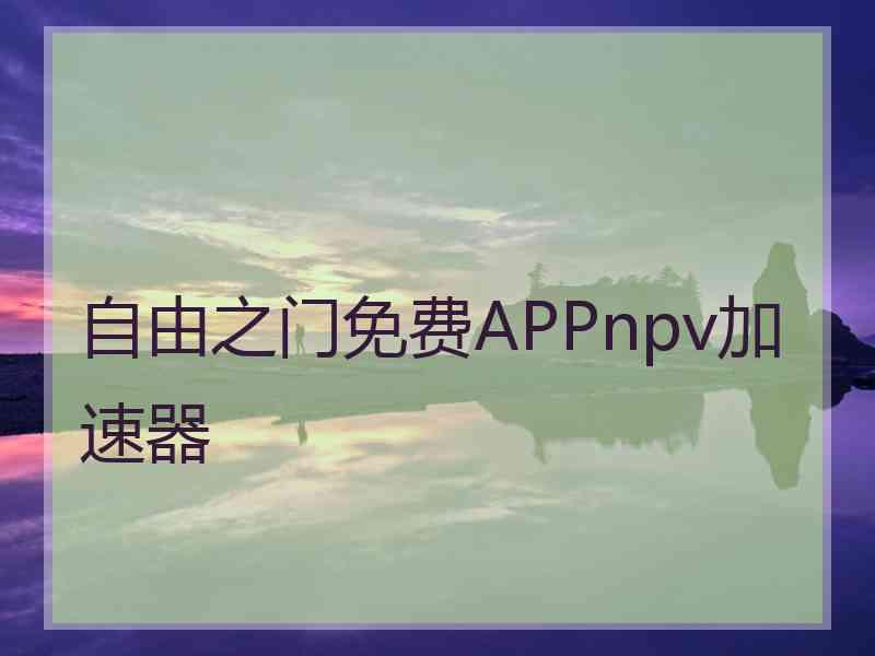 自由之门免费APPnpv加速器
