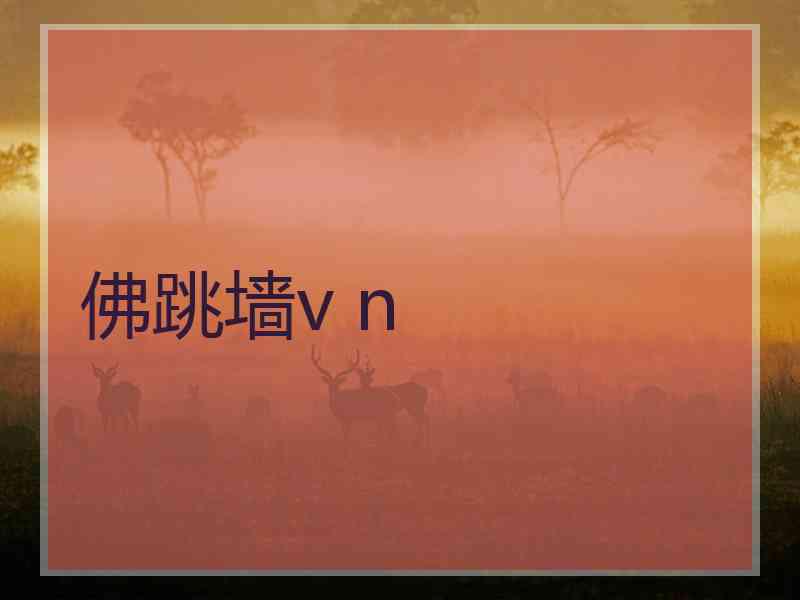 佛跳墙v n