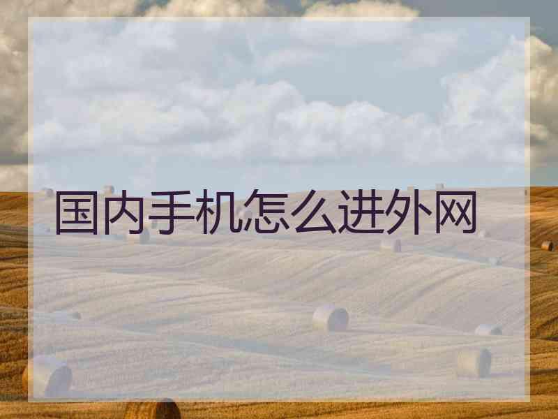 国内手机怎么进外网