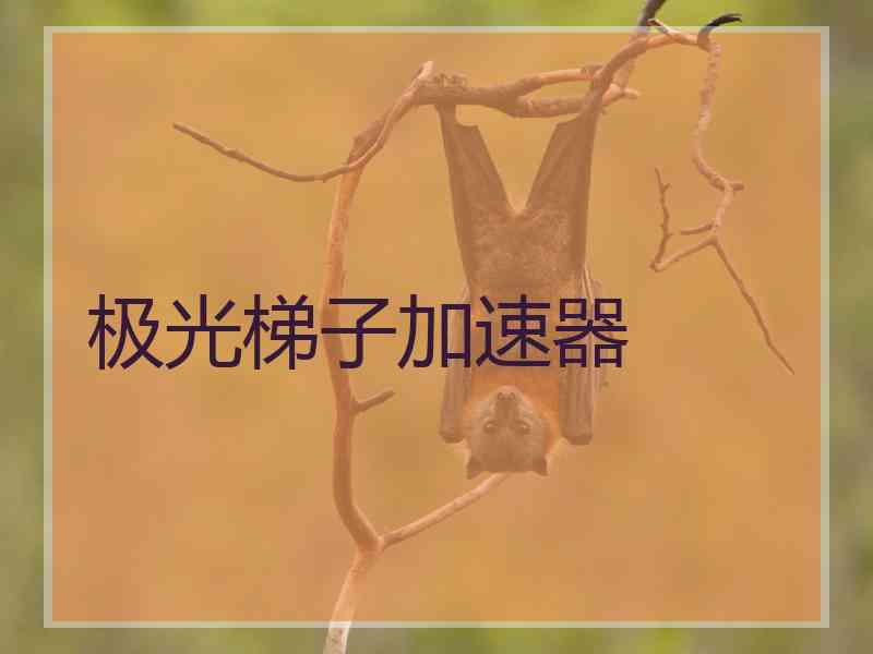 极光梯子加速器