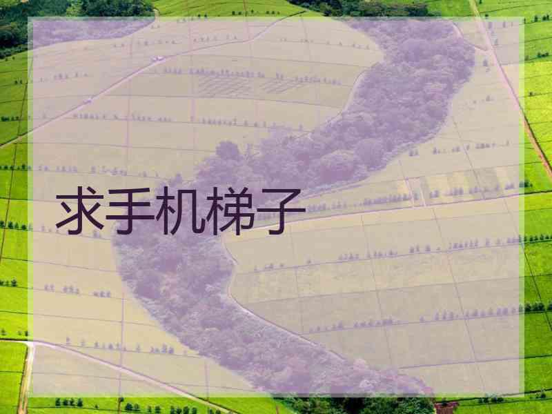求手机梯子
