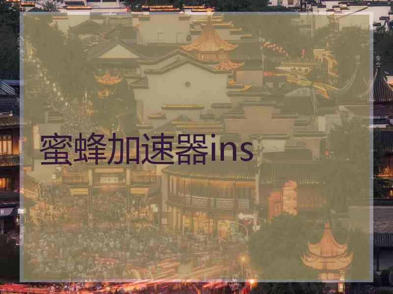 蜜蜂加速器ins