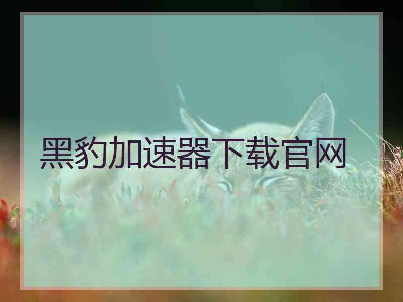 黑豹加速器下载官网
