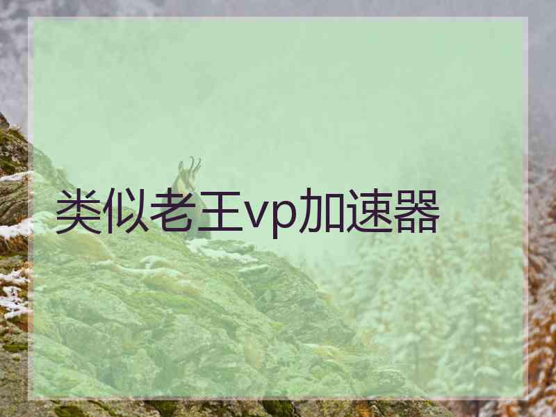 类似老王vp加速器