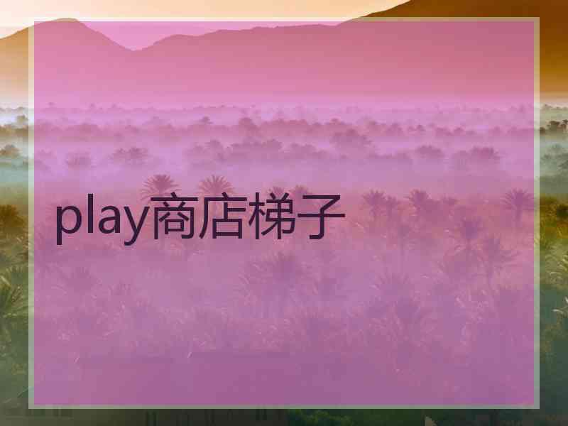 play商店梯子