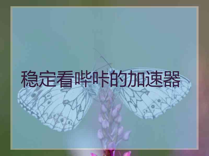 稳定看哔咔的加速器