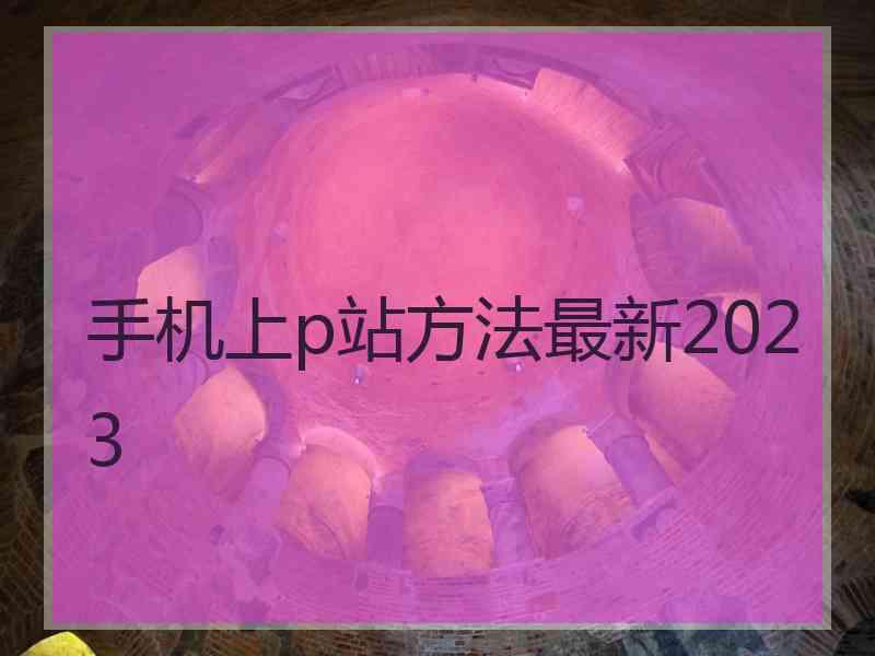 手机上p站方法最新2023