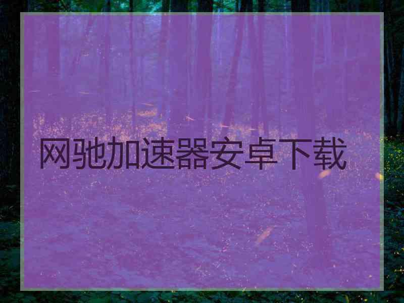 网驰加速器安卓下载