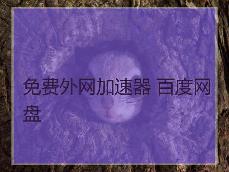 免费外网加速器 百度网盘