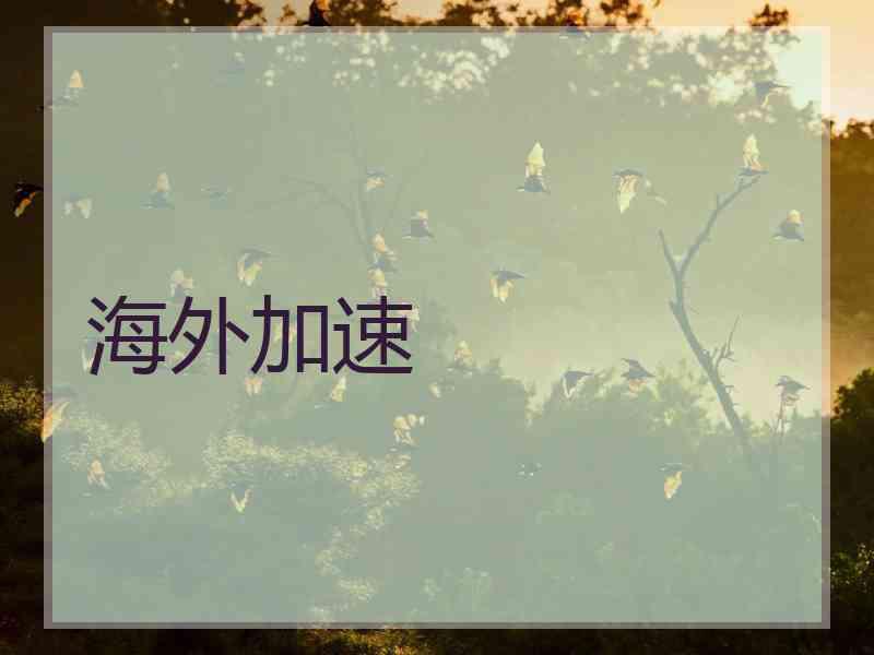 海外加速